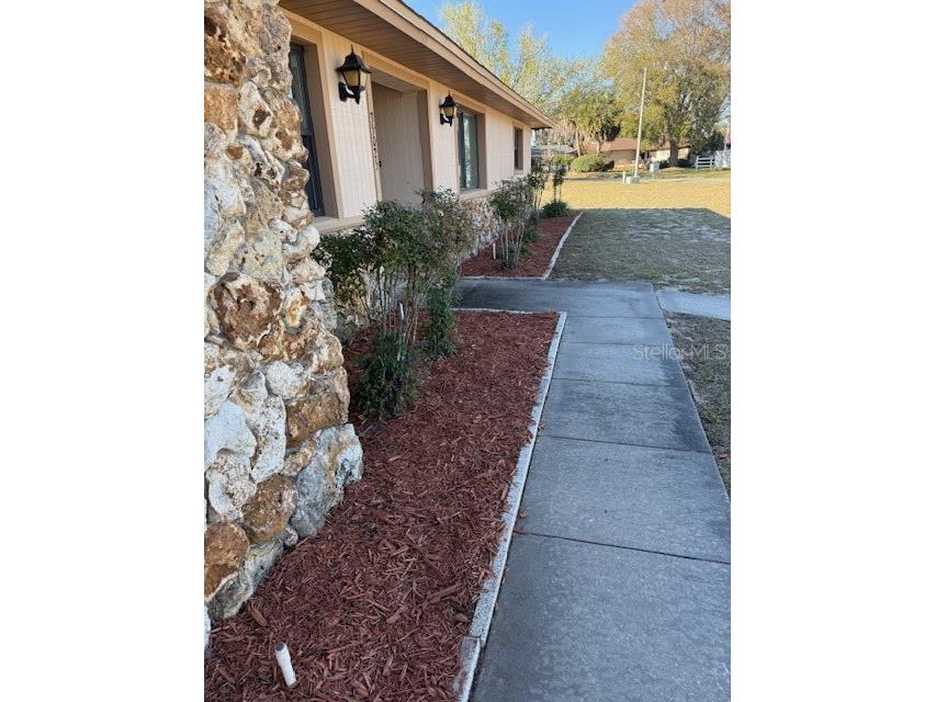 35025 Raintree Drive Fruitland Park FL 34731 G5108166 image33