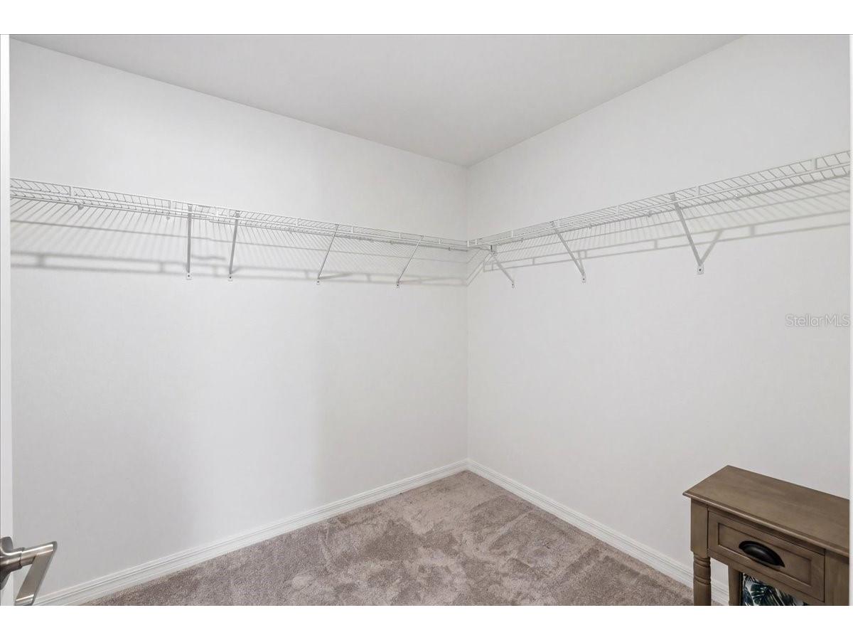 35029 Brackett Bend Zephyrhills FL 33541 L4962552 image33