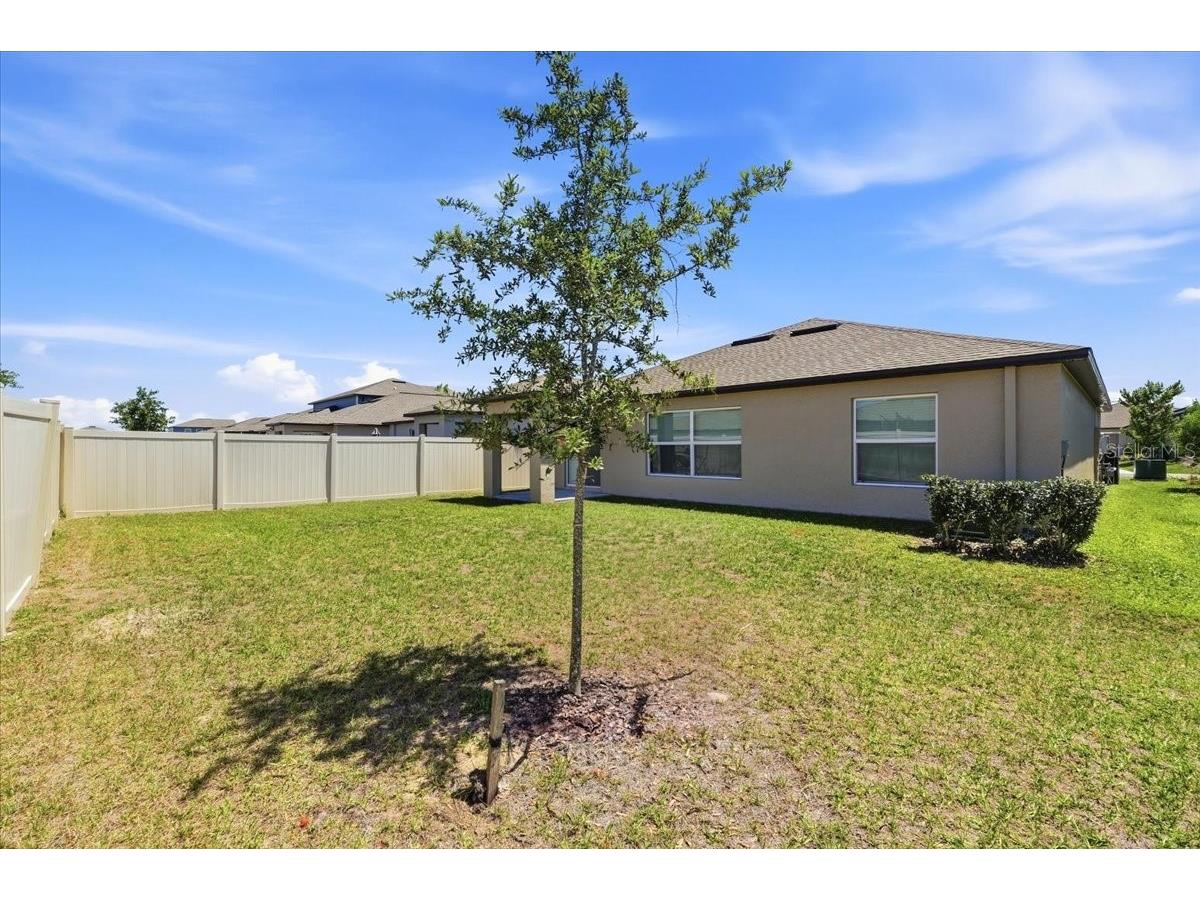 35029 Brackett Bend Zephyrhills FL 33541 L4962552 image6