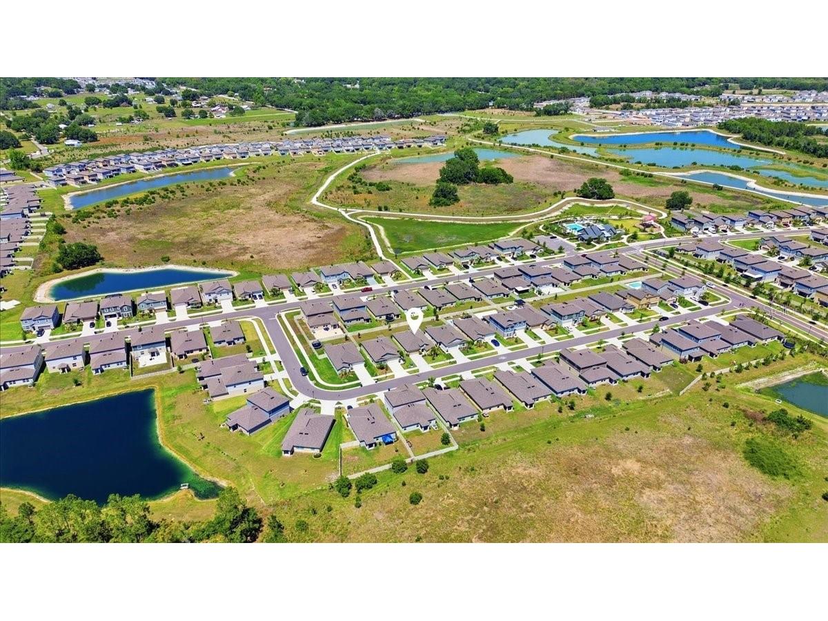 35029 Brackett Bend Zephyrhills FL 33541 L4962552 image9