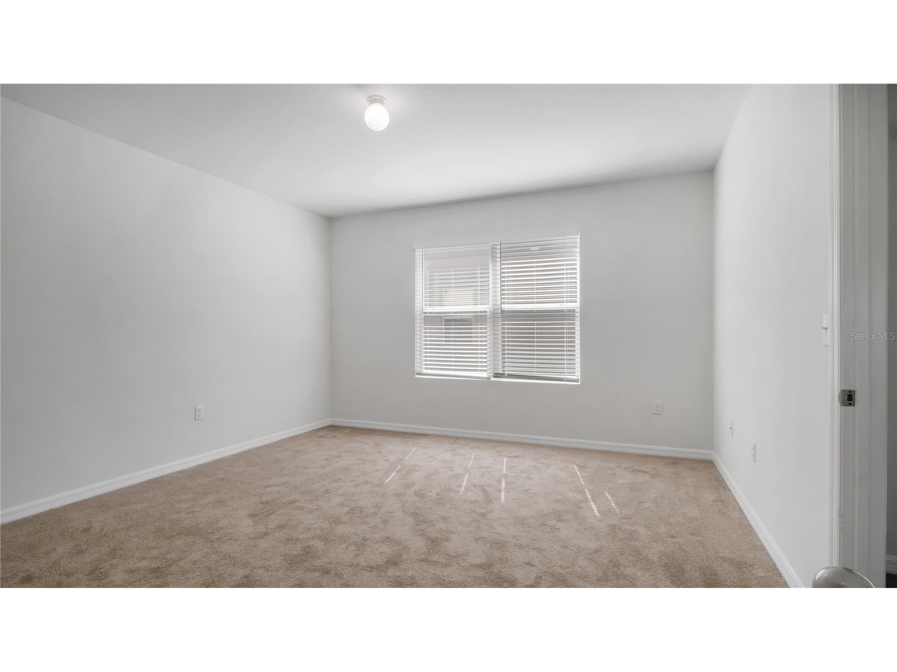 3503 Diamond Leaf Court Valrico FL 33594 TB8474248 image15