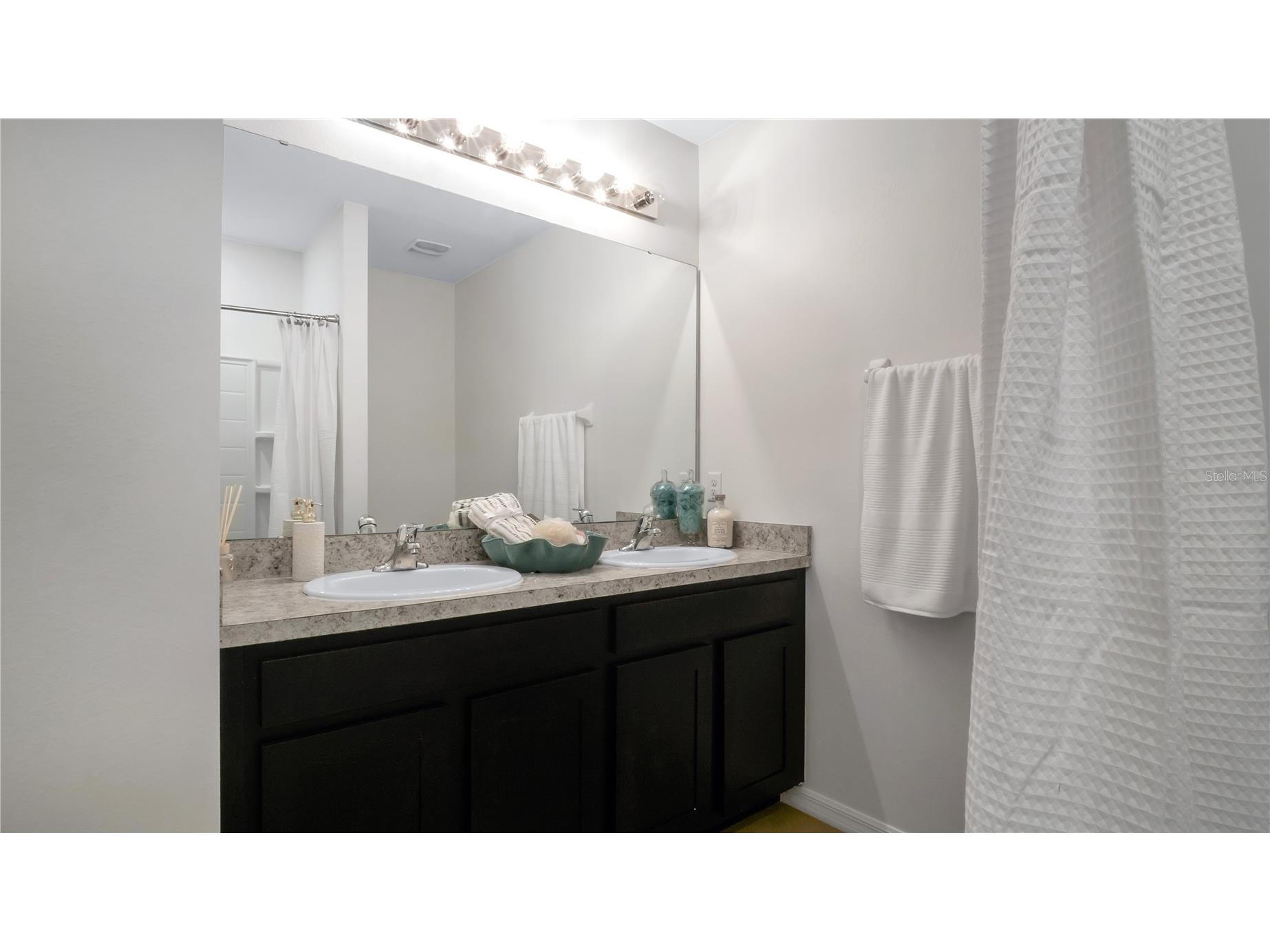 3503 Diamond Leaf Court Valrico FL 33594 TB8474248 image17