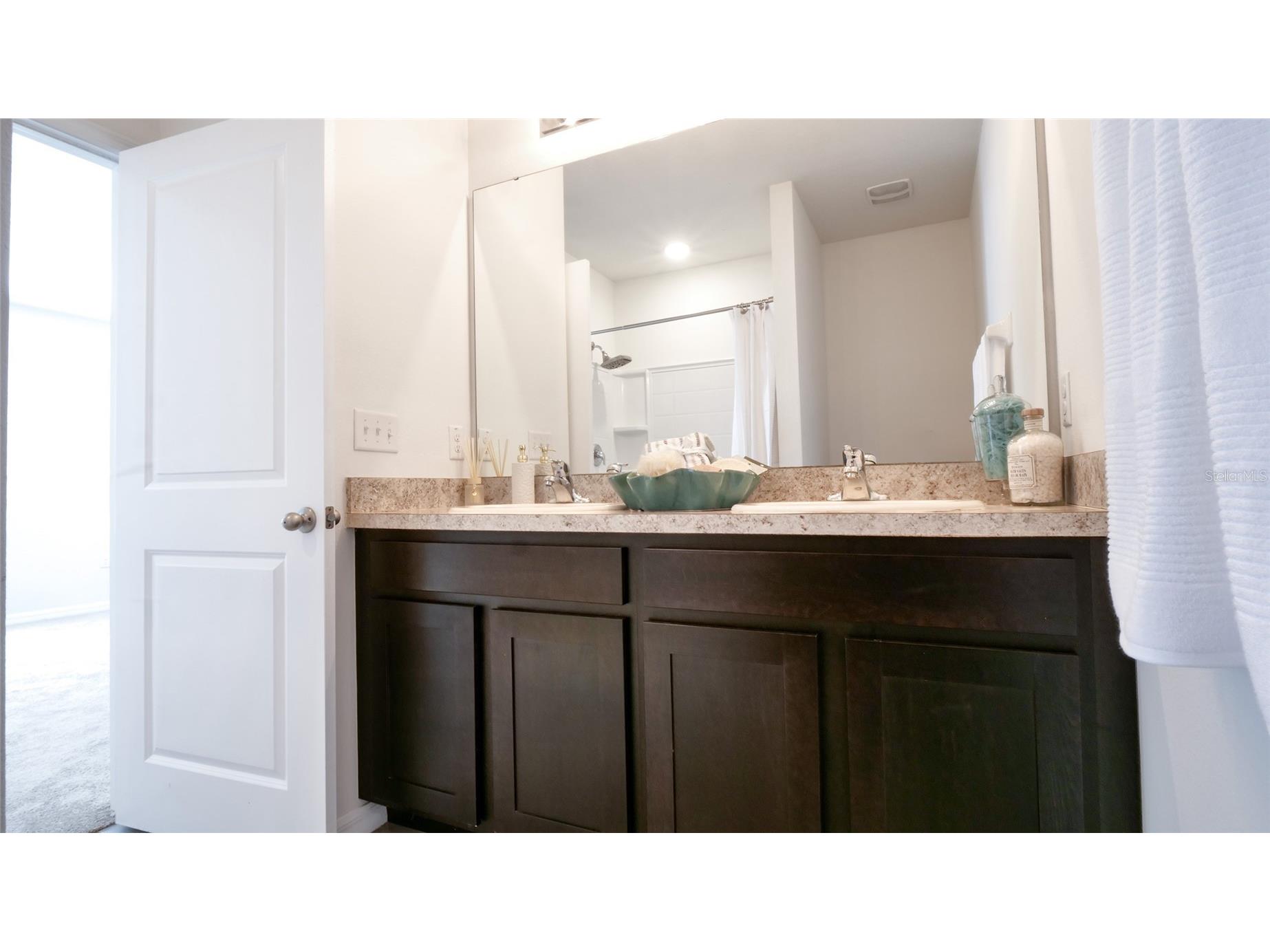 3503 Diamond Leaf Court Valrico FL 33594 TB8474248 image18