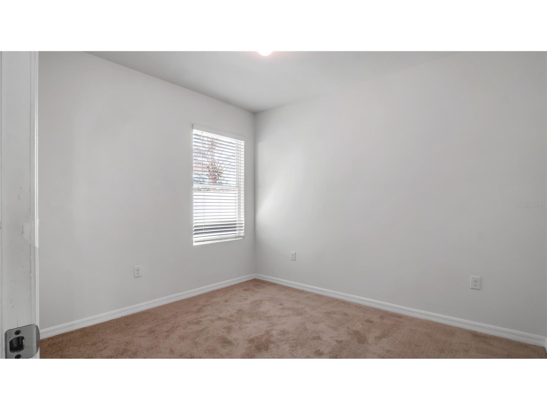 3503 Diamond Leaf Court Valrico FL 33594 TB8474248 image19