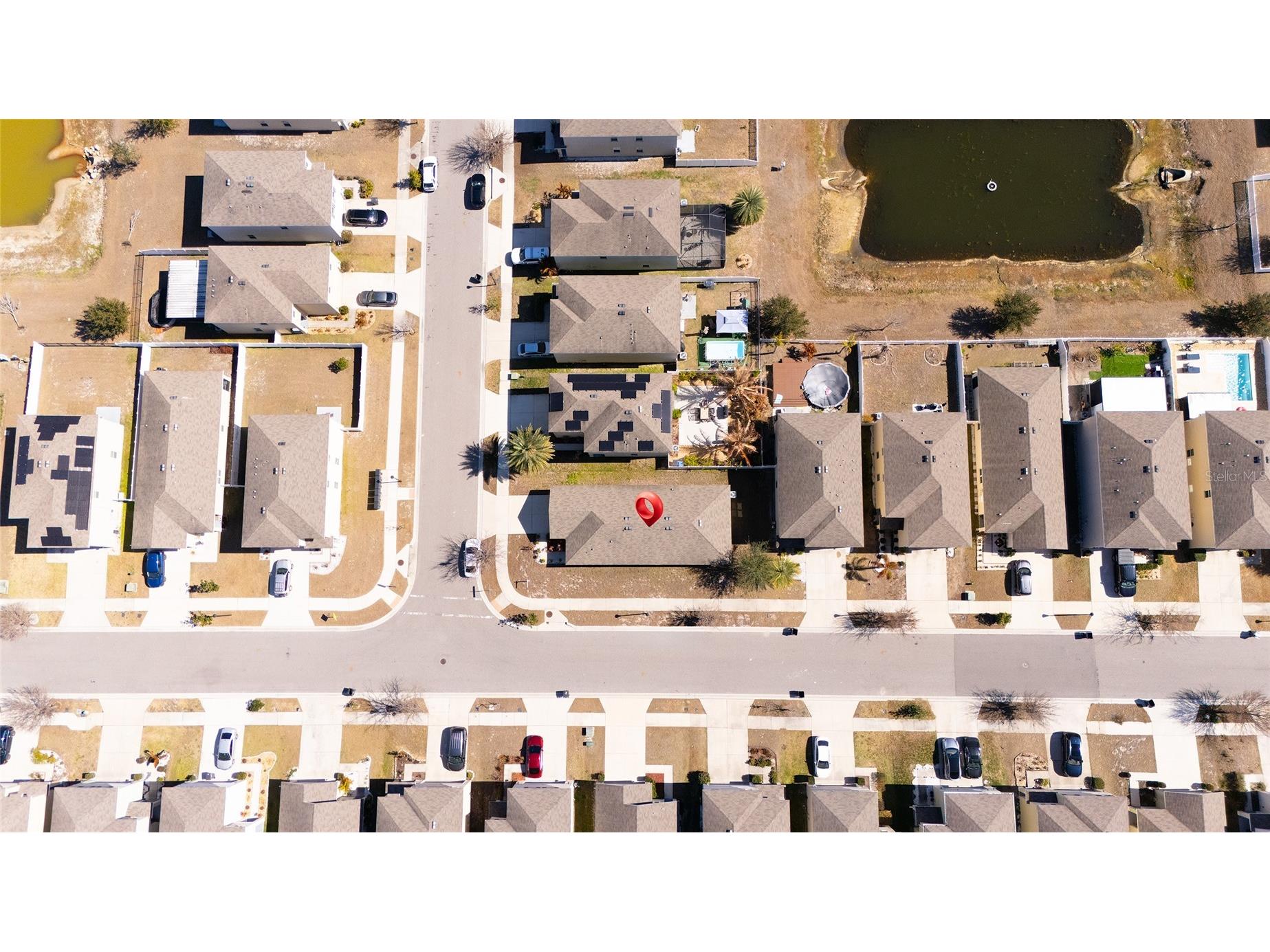 3503 Diamond Leaf Court Valrico FL 33594 TB8474248 image32