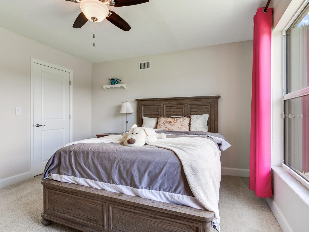 3503 Graycliff Lane Brandon FL 33511 TB8399833 image59