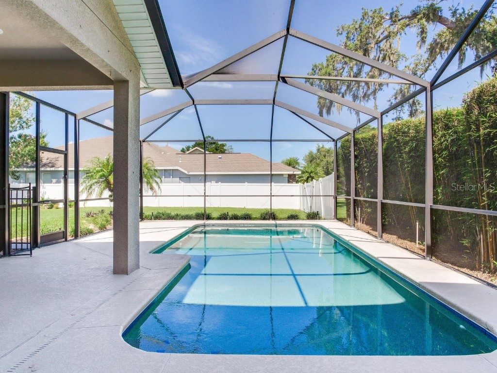 3503 Graycliff Lane Brandon FL 33511 TB8399833 image62