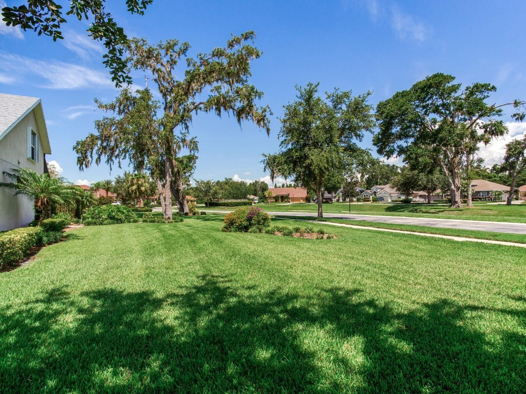 3503 Graycliff Lane Brandon FL 33511 TB8399833 image76