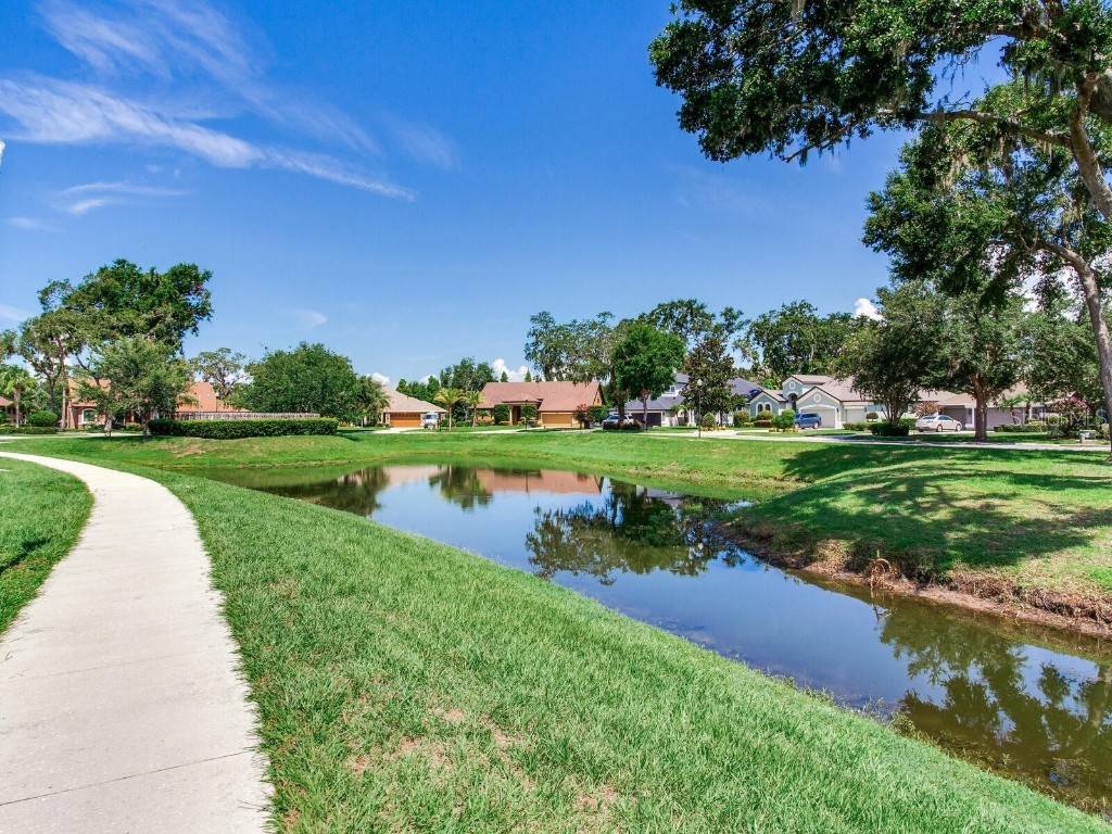 3503 Graycliff Lane Brandon FL 33511 TB8399833 image79