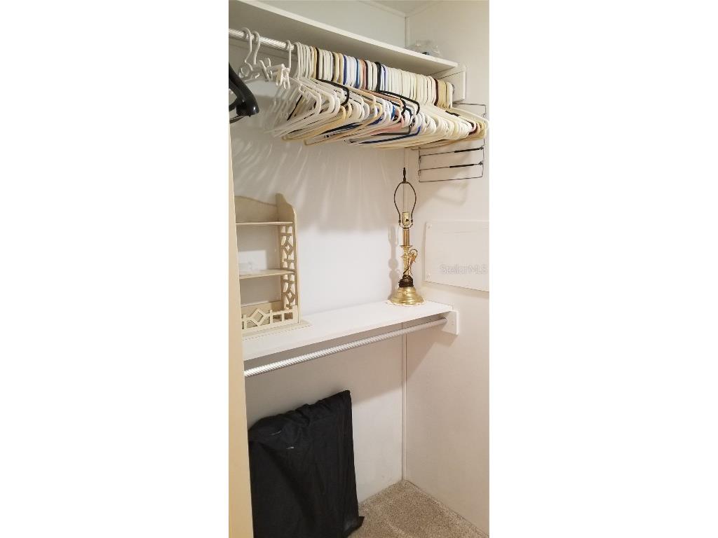 3503 Tiki Drive Holiday FL 34691 TB8399264 image24