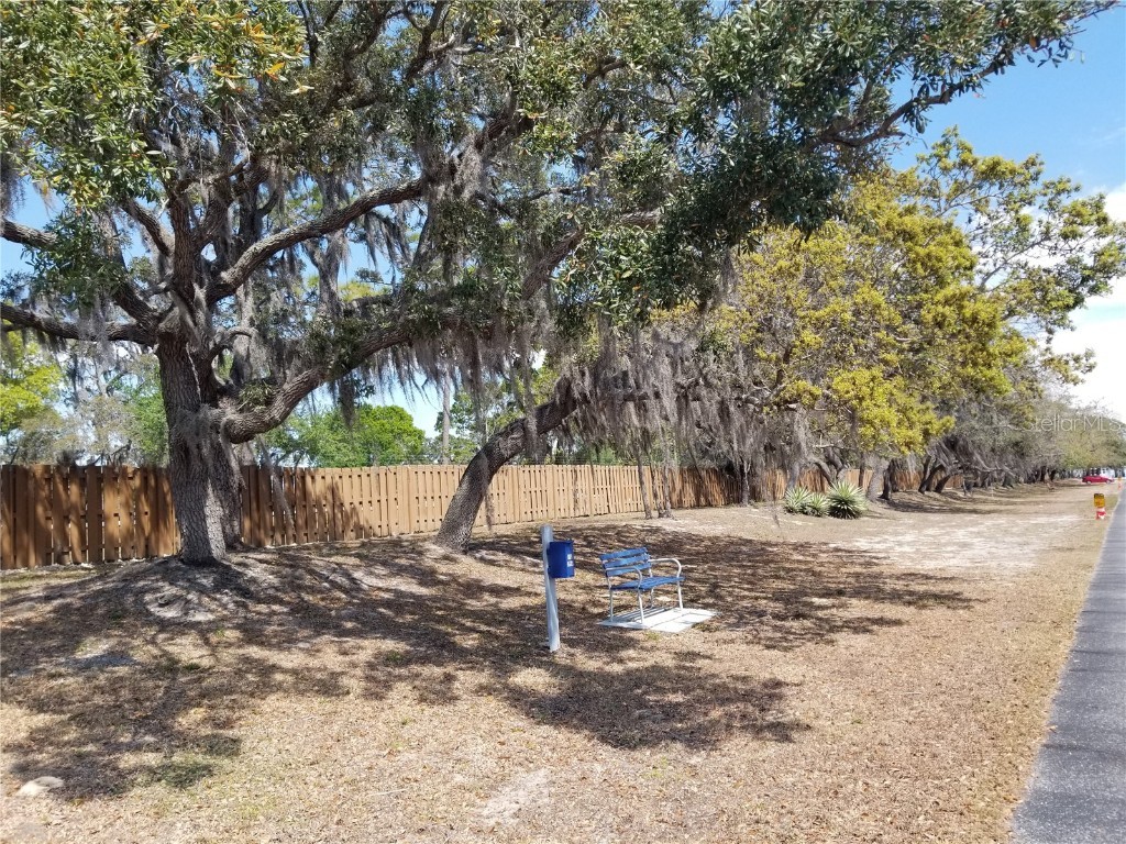 3503 Tiki Drive Holiday FL 34691 TB8399264 image7