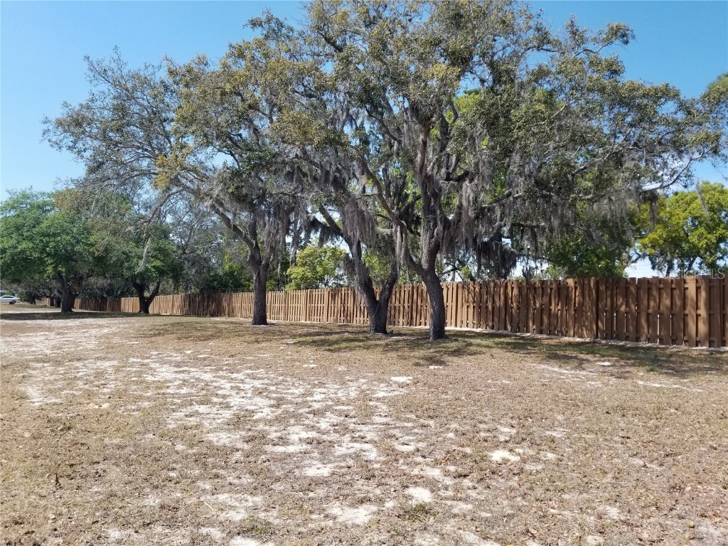 3503 Tiki Drive Holiday FL 34691 TB8399264 image8