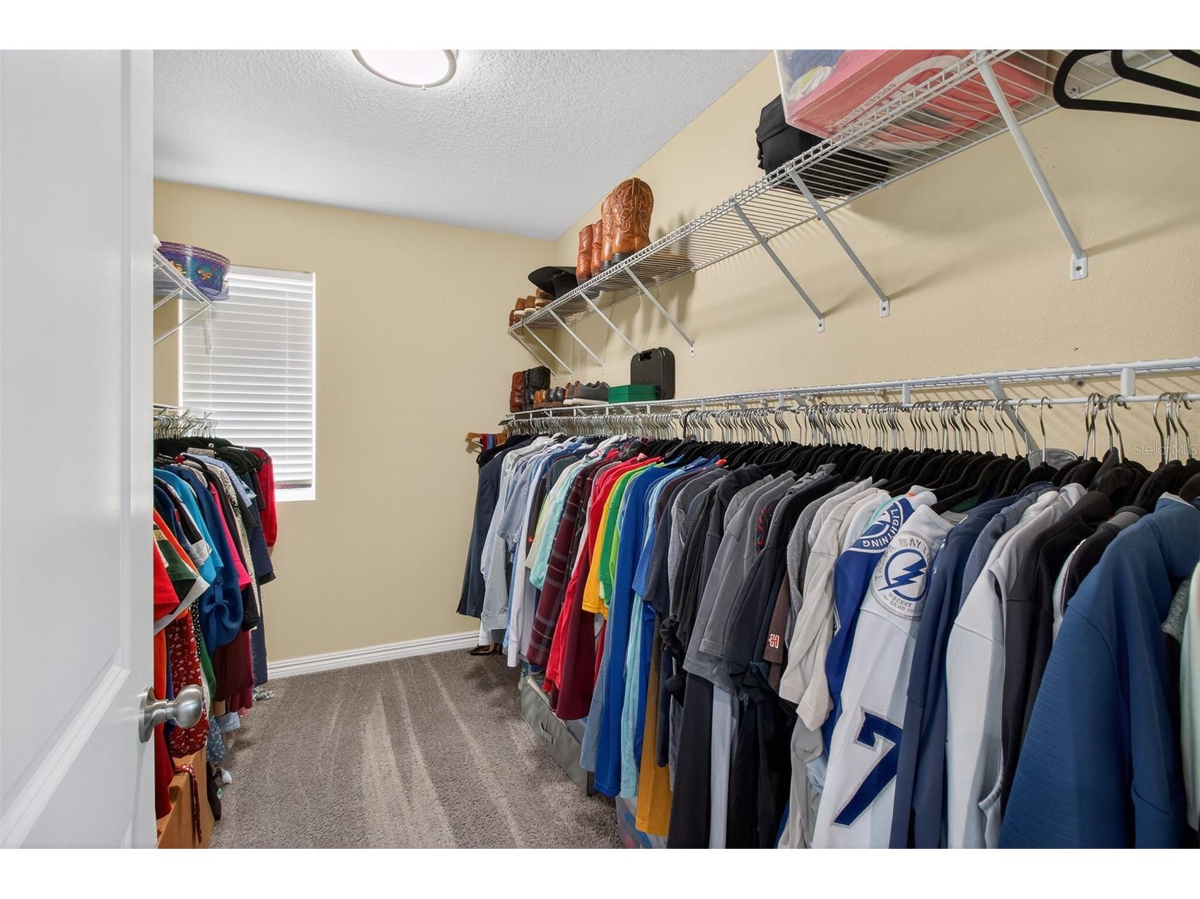 3503 W Price Avenue Tampa FL 33611 TB8486358 image32