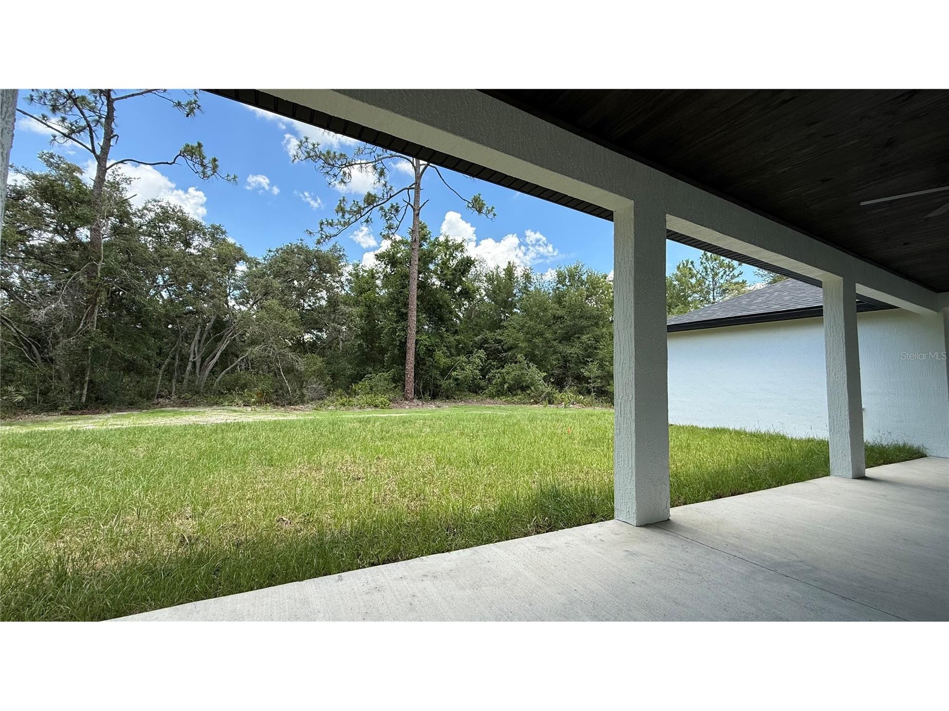 35031 Primrose Lane Webster FL 33597 TB8513962 image21