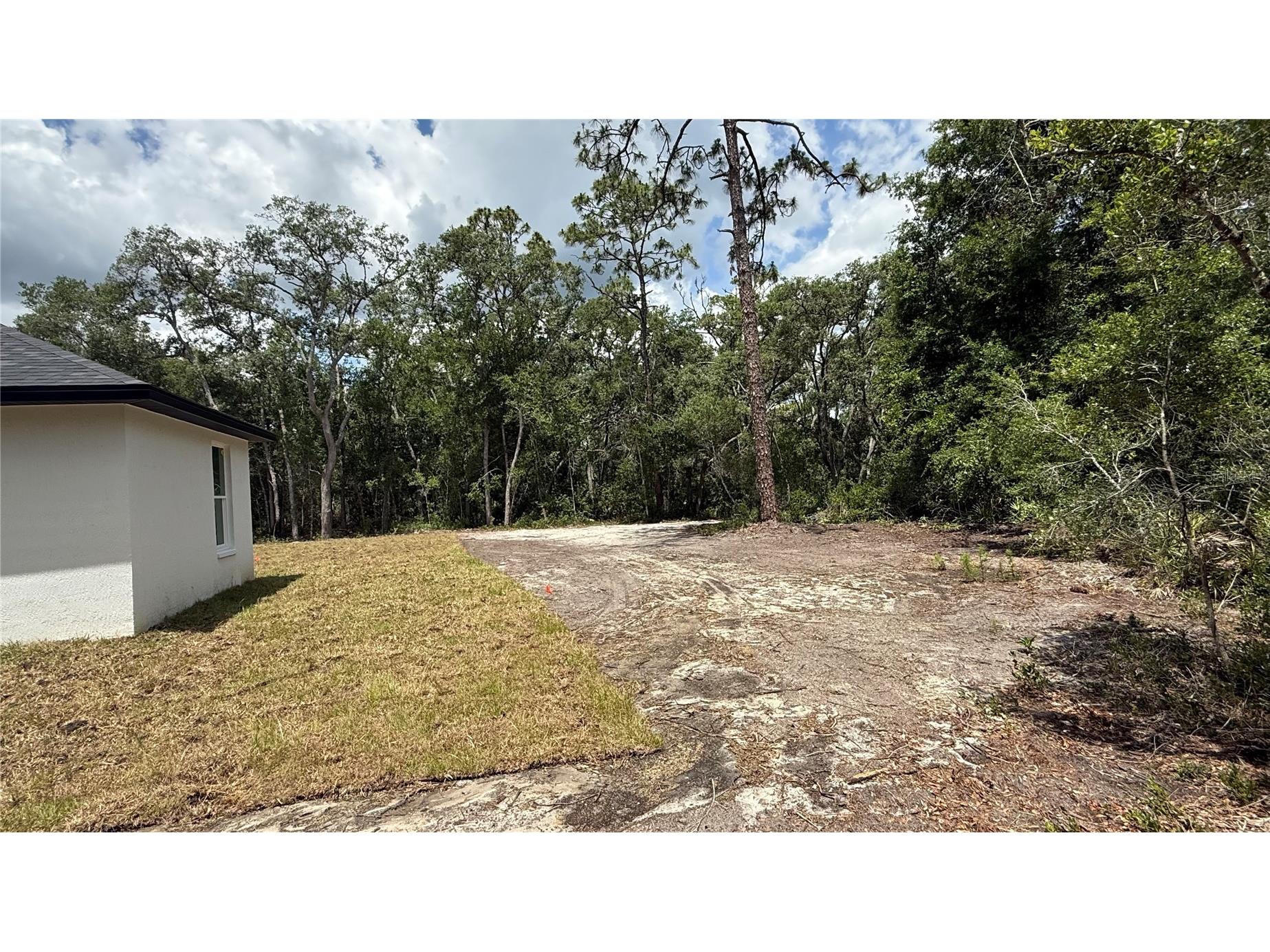 35031 Primrose Lane Webster FL 33597 TB8513962 image5