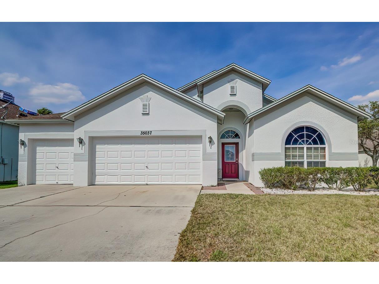 35037 Deerfield Oaks Drive Zephyrhills FL 33541 T3432175 image1