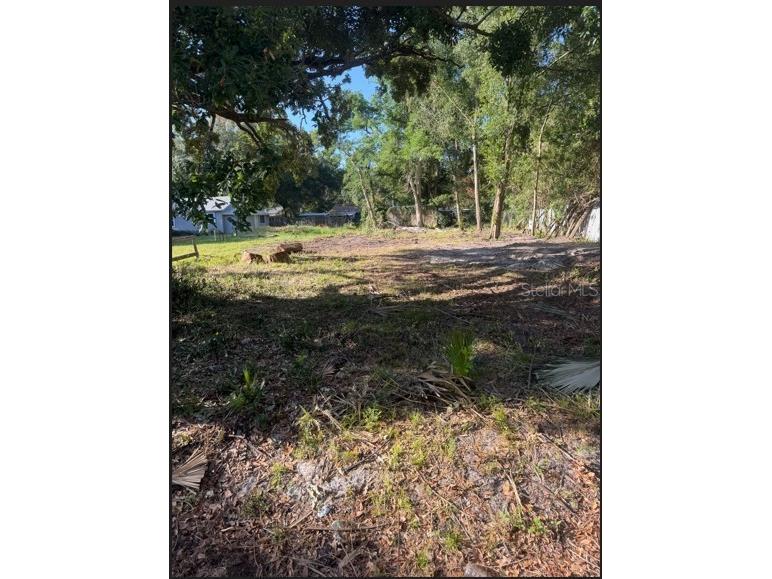 3504 Avenue V NW Winter Haven FL 33881 O6410375 image1
