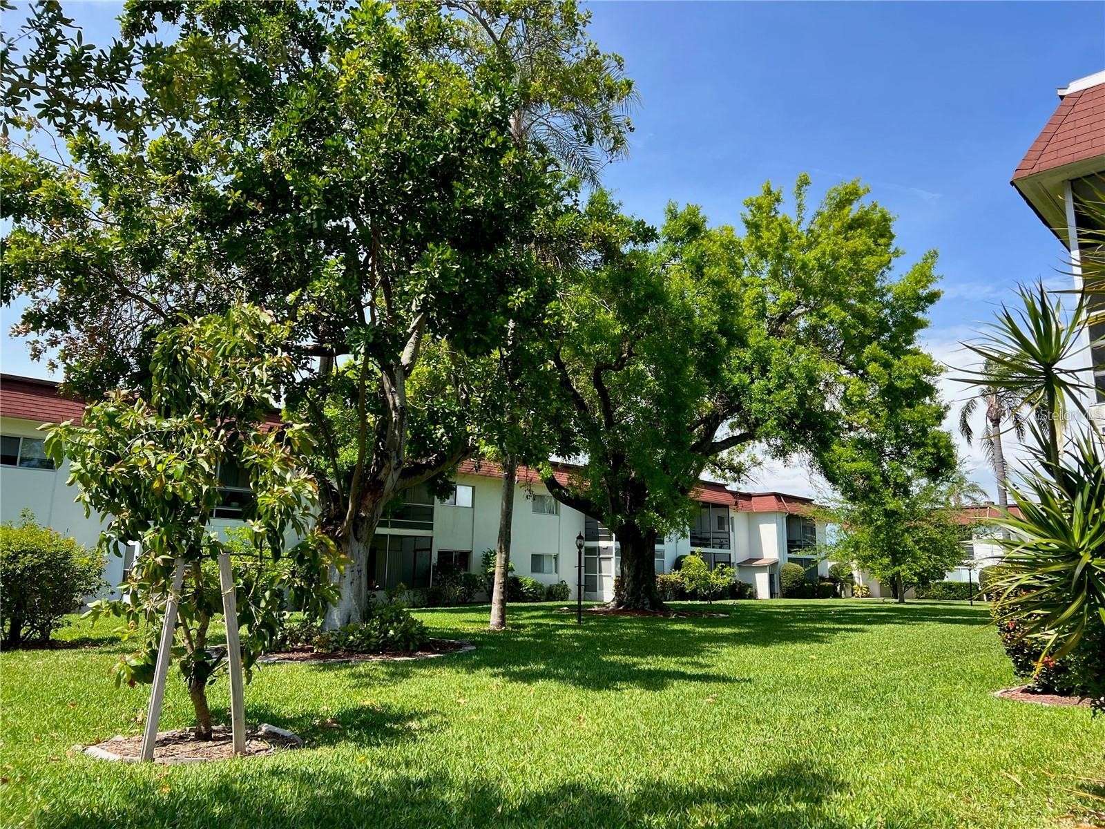 3504 Beneva Road #206 Sarasota FL 34232 A4689854 image33