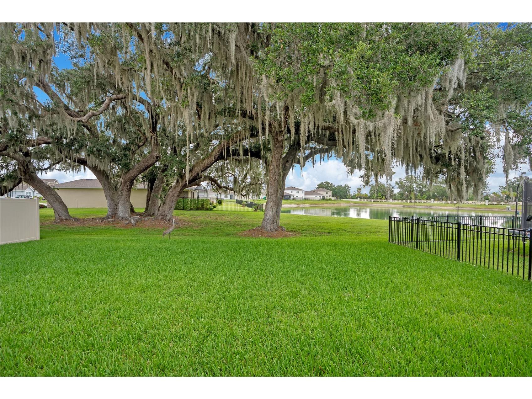 3504 Crescent Peak Way Plant City FL 33565 L4962660 image29