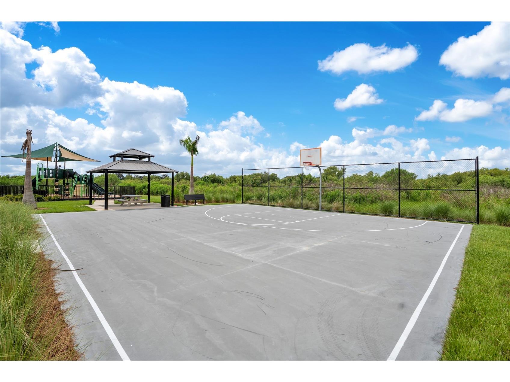 3504 Crescent Peak Way Plant City FL 33565 L4962660 image38