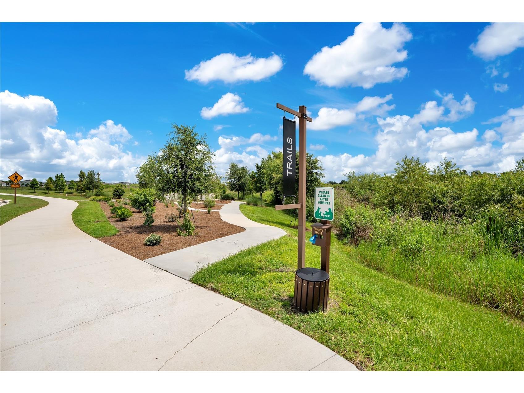 3504 Crescent Peak Way Plant City FL 33565 L4962660 image47