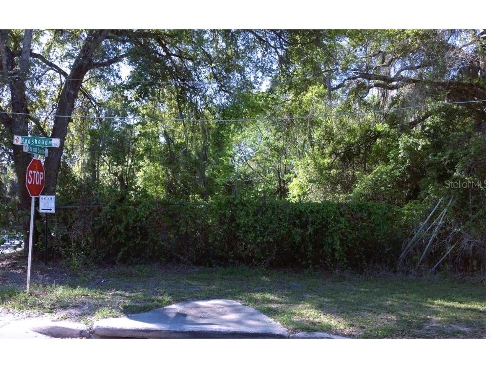 3504 Hogshead Road Apopka FL 32703 O6136934 image1