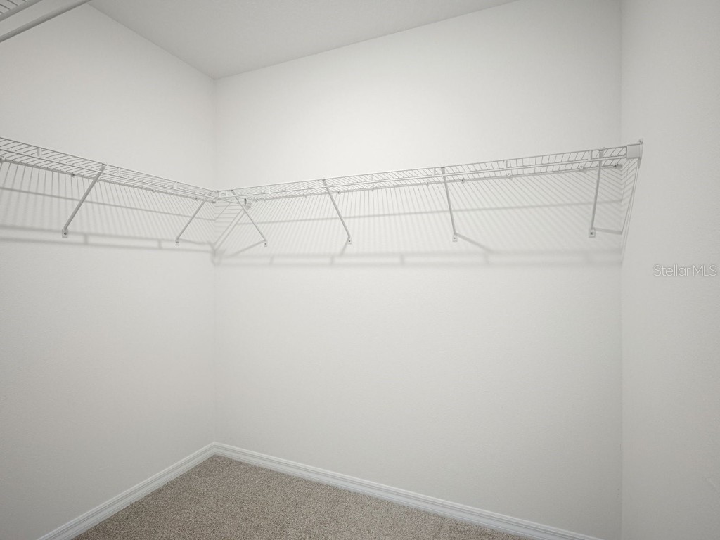 3504 Moscato Drive Brooksville FL 34602 TB8446235 image23