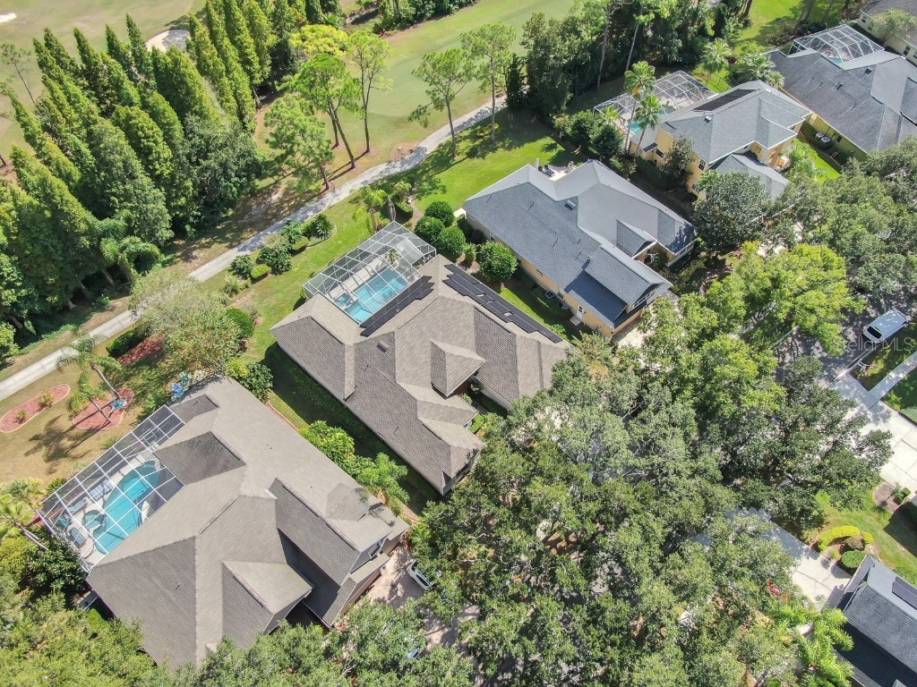 3504 Old Course Lane Valrico FL 33596 TB8437732 image44