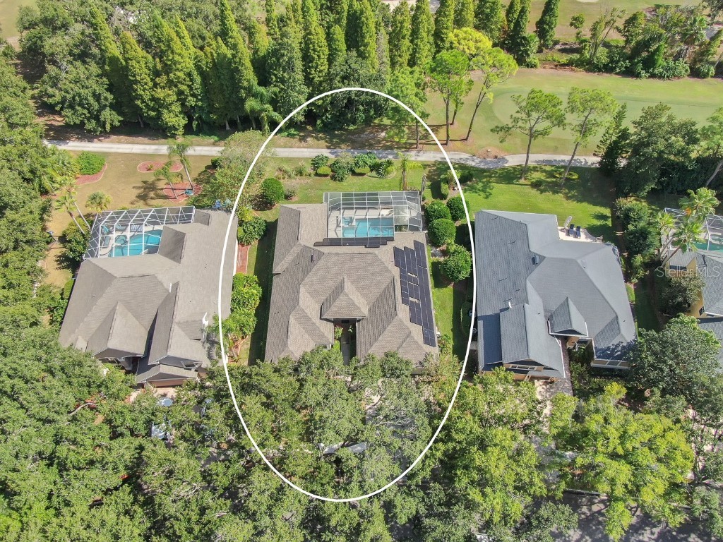 3504 Old Course Lane Valrico FL 33596 TB8437732 image48