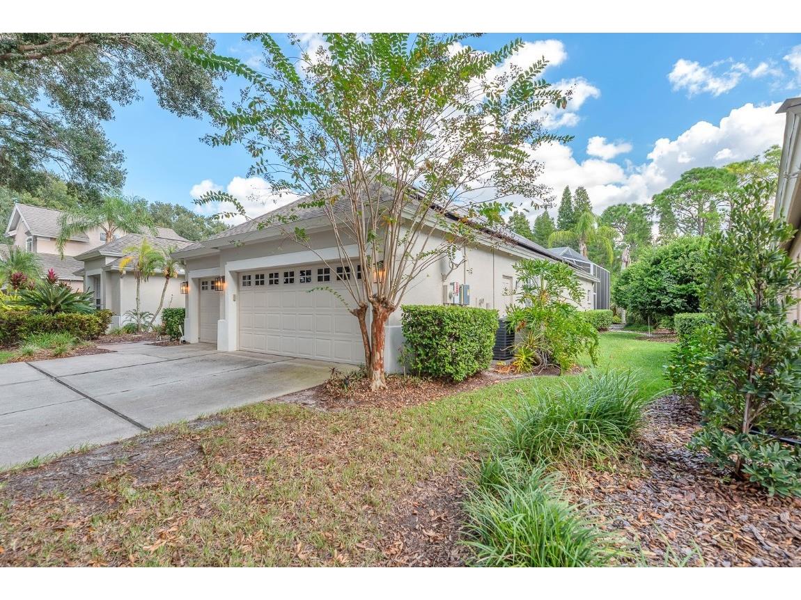 3504 Old Course Lane Valrico FL 33596 TB8437732 image5