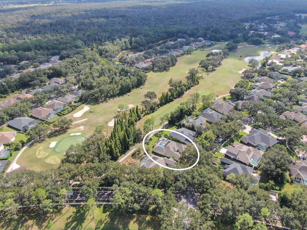 3504 Old Course Lane Valrico FL 33596 TB8437732 image50