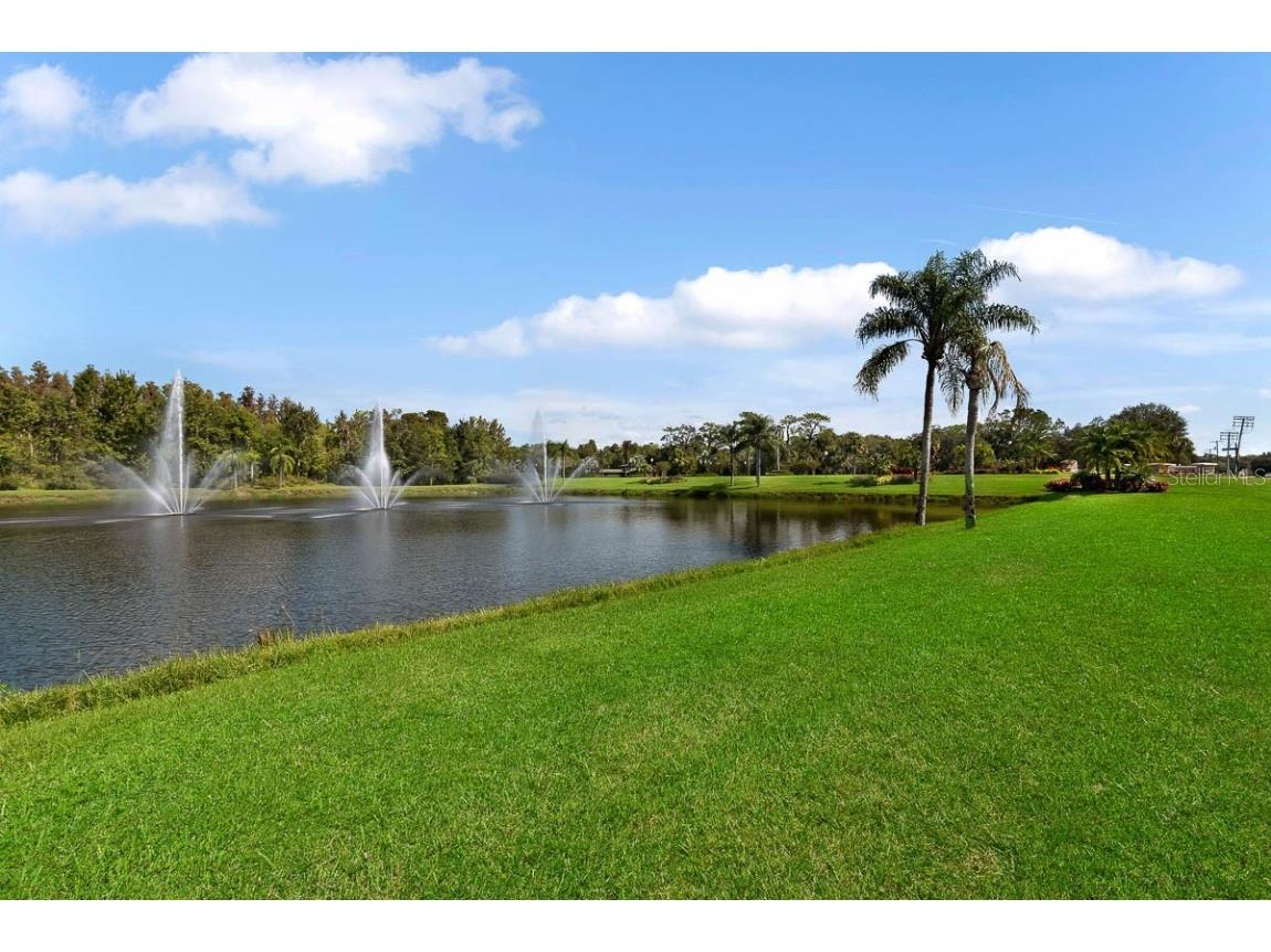 3504 Old Course Lane Valrico FL 33596 TB8437732 image55