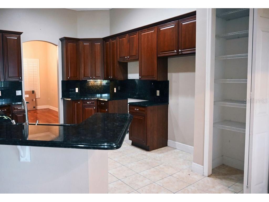 3504 Shorewood Drive Kissimmee FL 34746 O6319449 image10