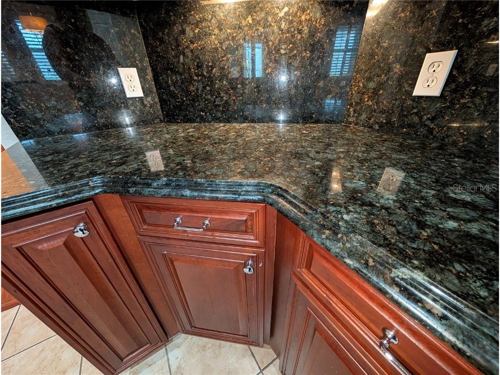 3504 Shorewood Drive Kissimmee FL 34746 O6319449 image11