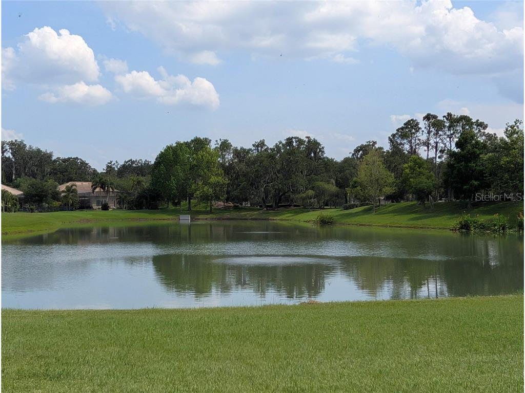 3504 Shorewood Drive Kissimmee FL 34746 O6319449 image39