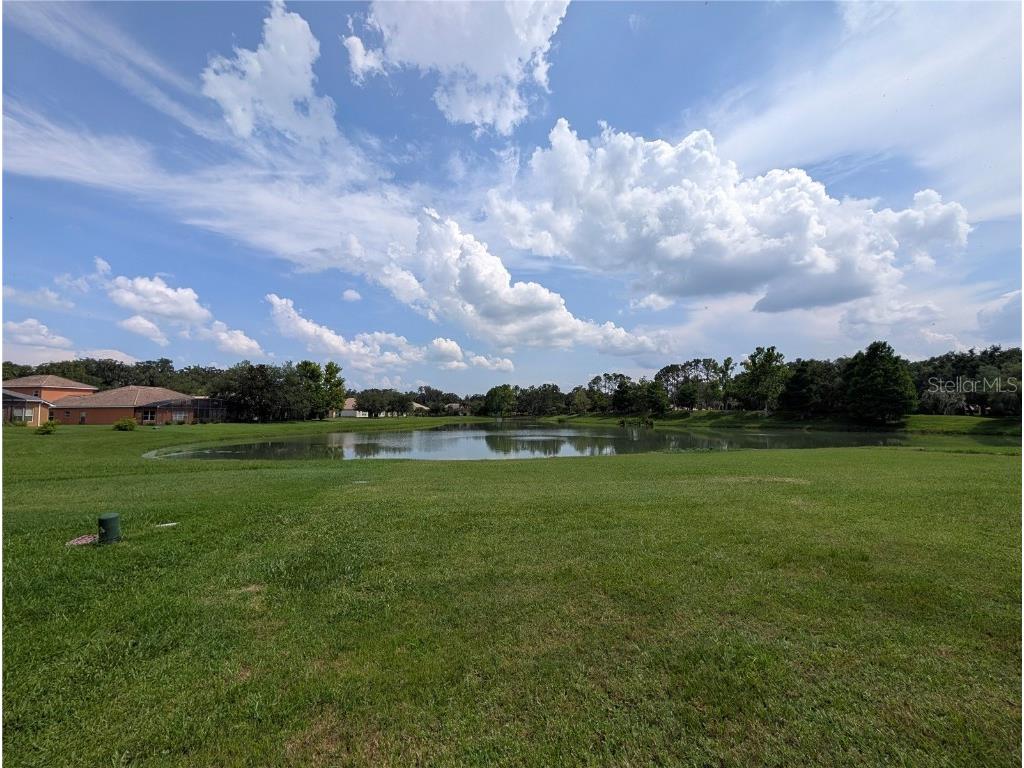 3504 Shorewood Drive Kissimmee FL 34746 O6319449 image40