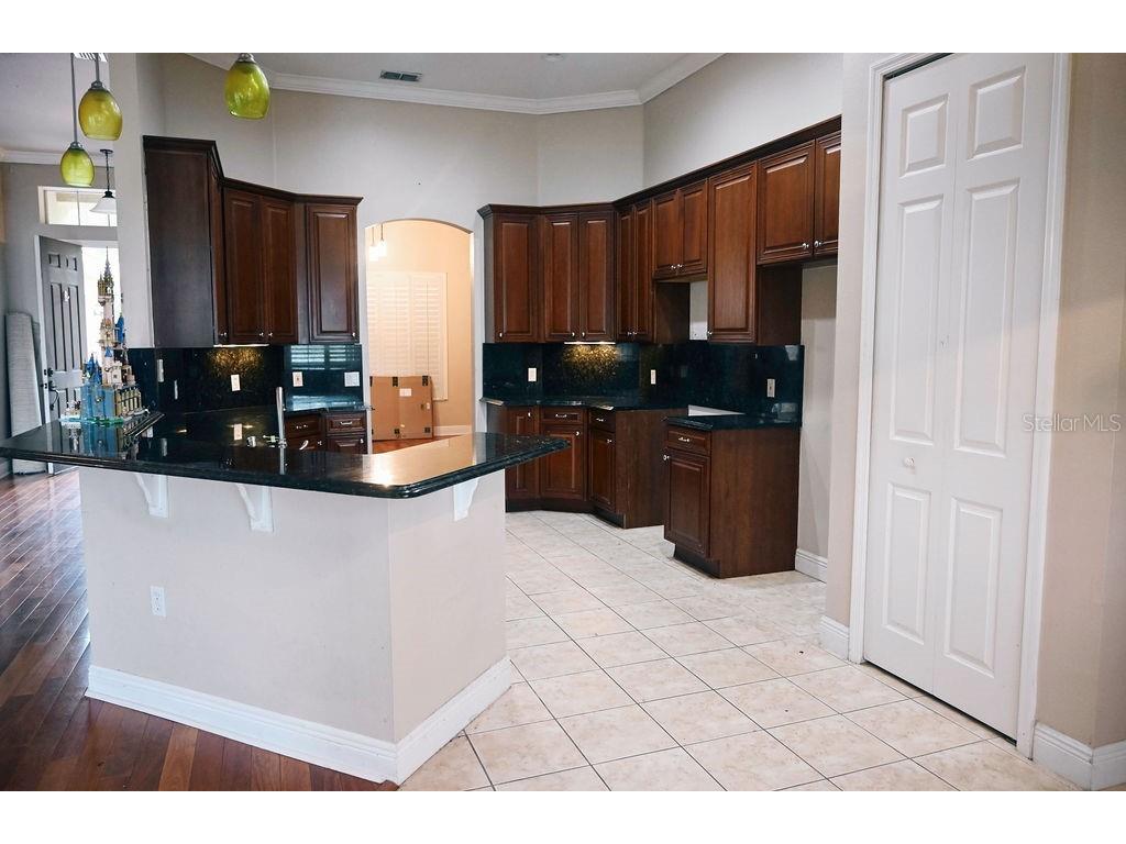 3504 Shorewood Drive Kissimmee FL 34746 O6319449 image8