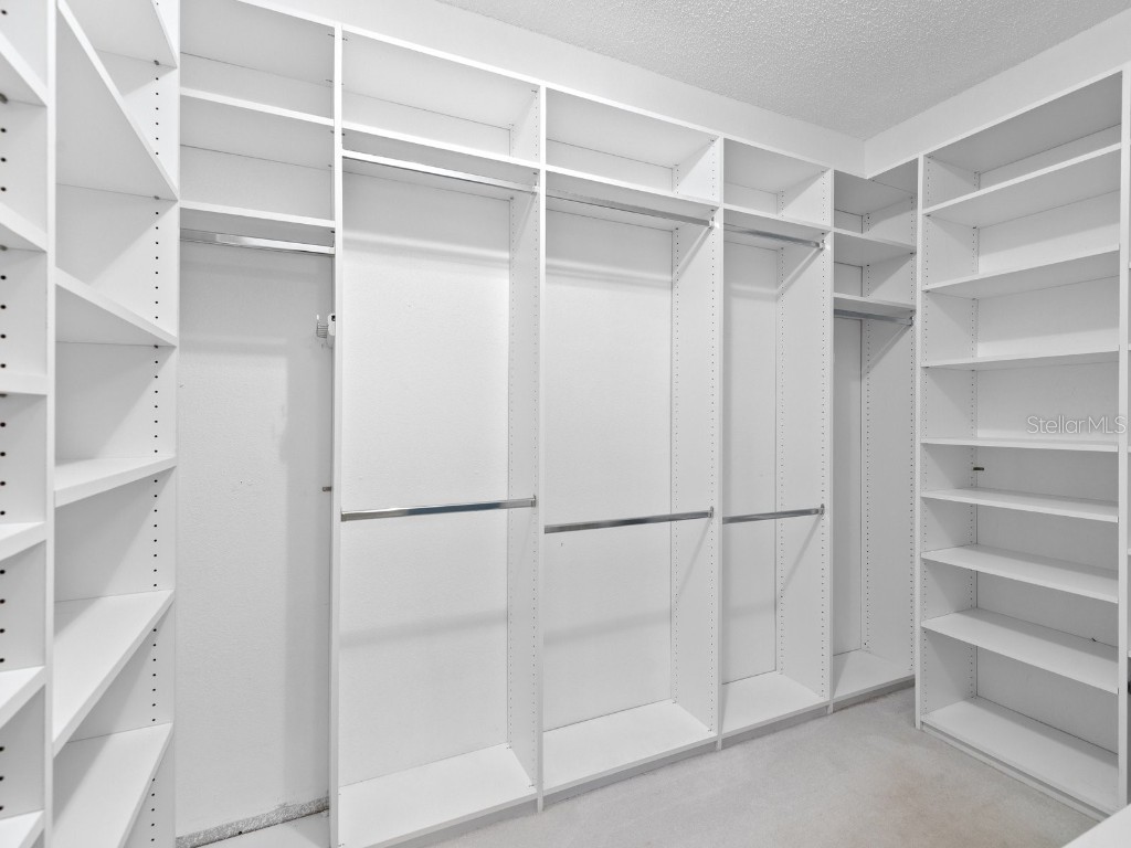 3504 Tealwood Circle Palm Harbor FL 34685 V4945379 image25