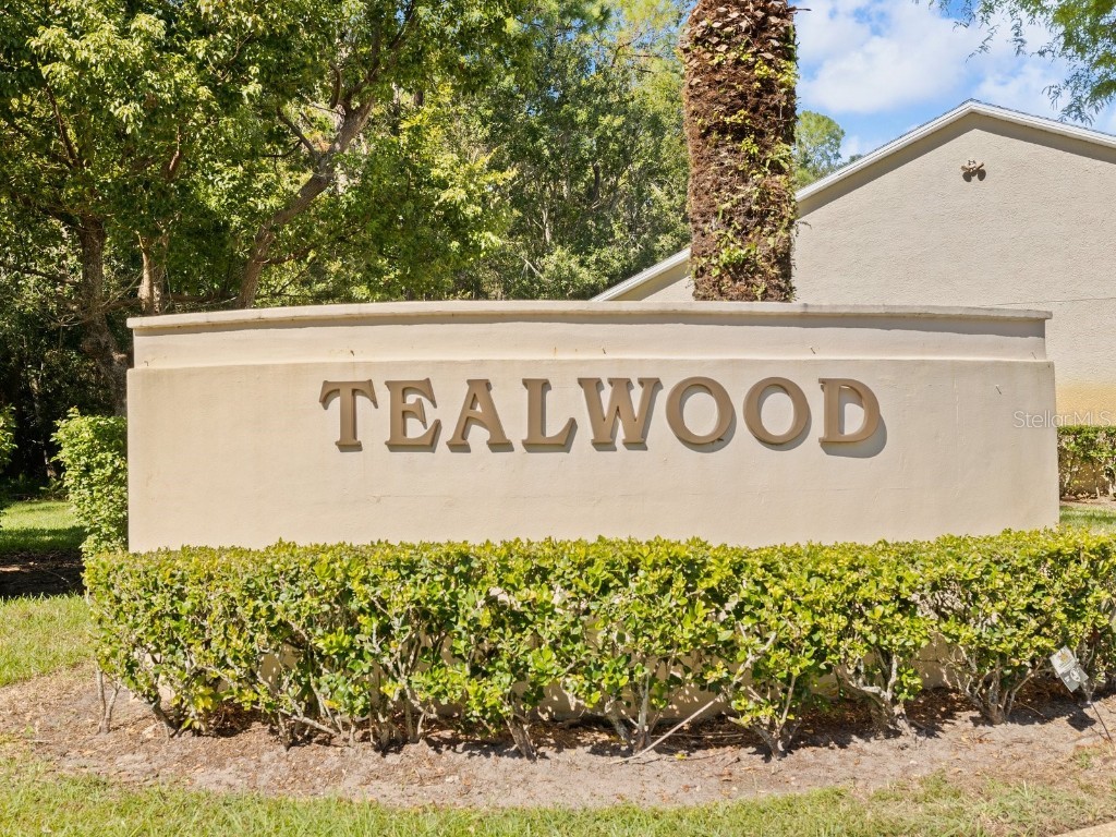 3504 Tealwood Circle Palm Harbor FL 34685 V4945379 image37