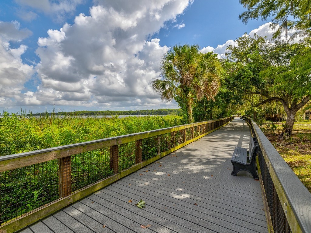 3504 Tealwood Circle Palm Harbor FL 34685 V4945379 image44