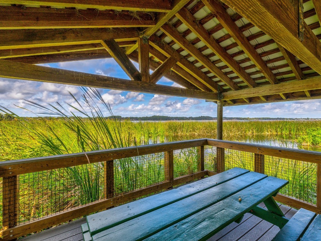 3504 Tealwood Circle Palm Harbor FL 34685 V4945379 image46