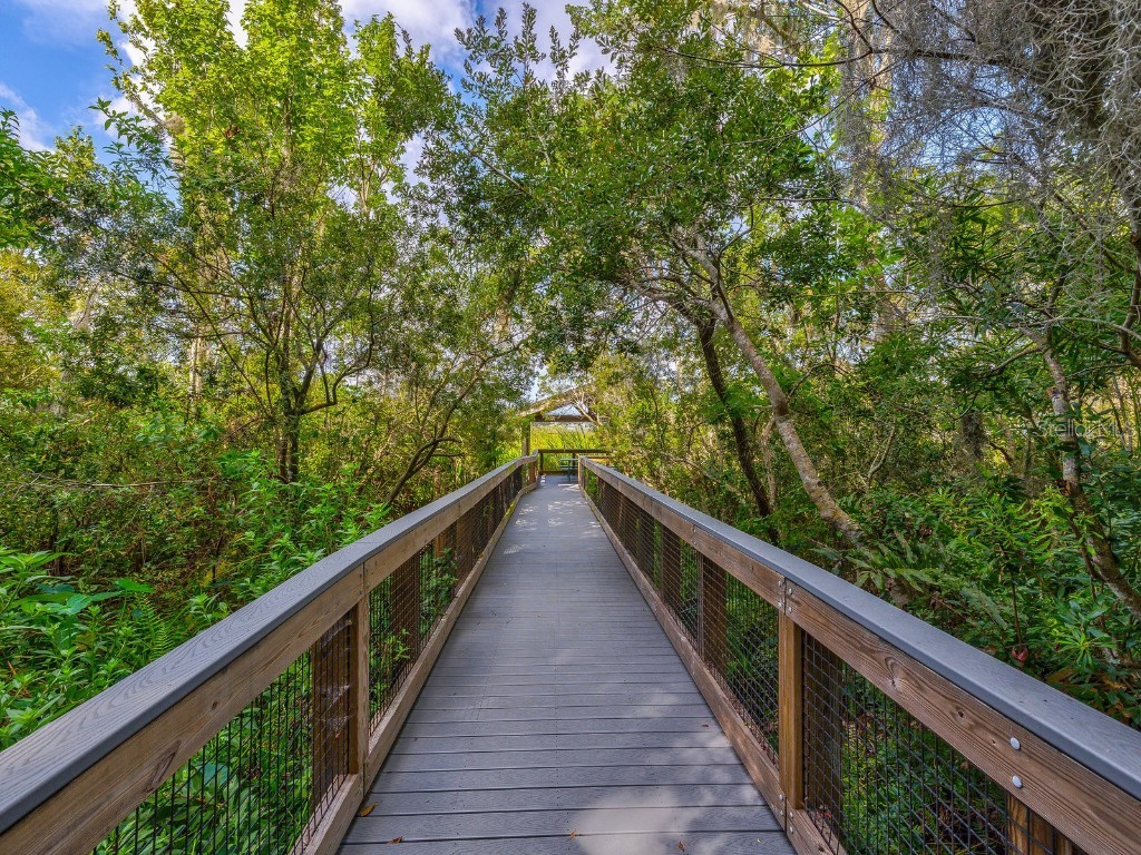 3504 Tealwood Circle Palm Harbor FL 34685 V4945379 image47