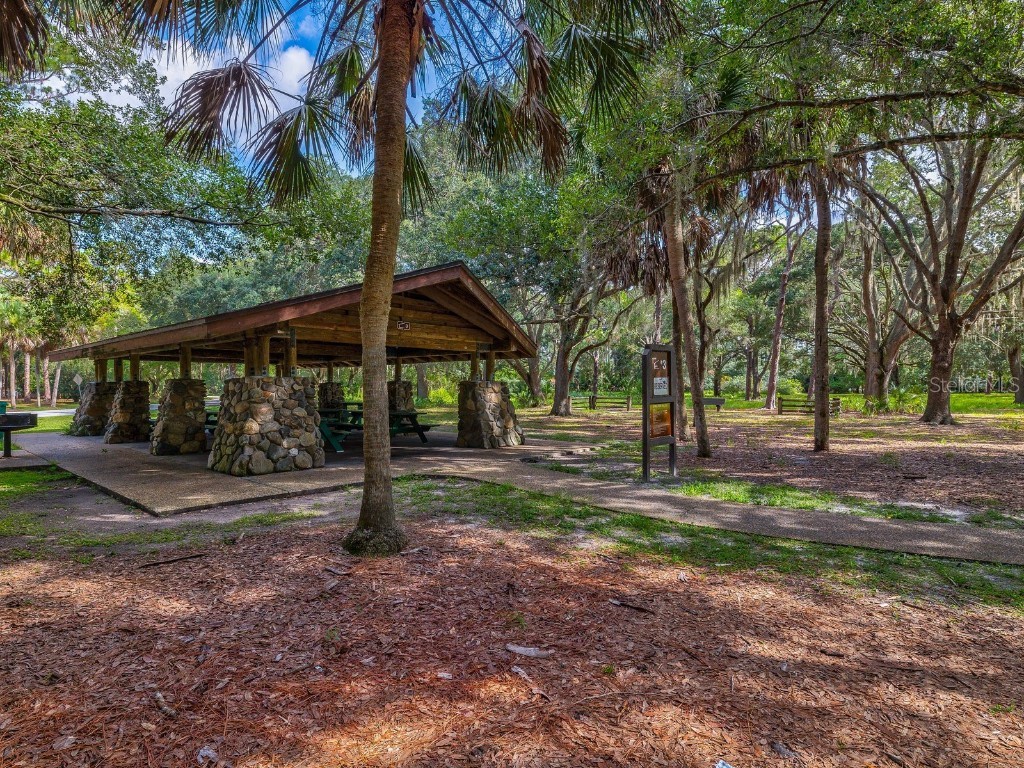 3504 Tealwood Circle Palm Harbor FL 34685 V4945379 image49