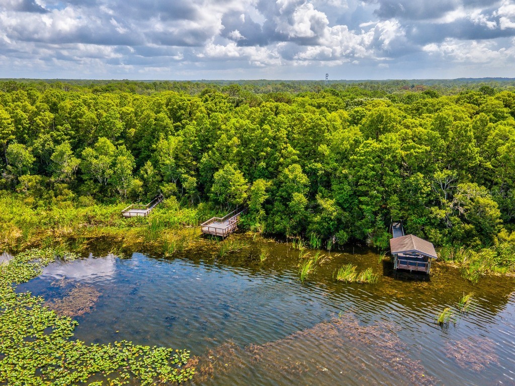 3504 Tealwood Circle Palm Harbor FL 34685 V4945379 image50