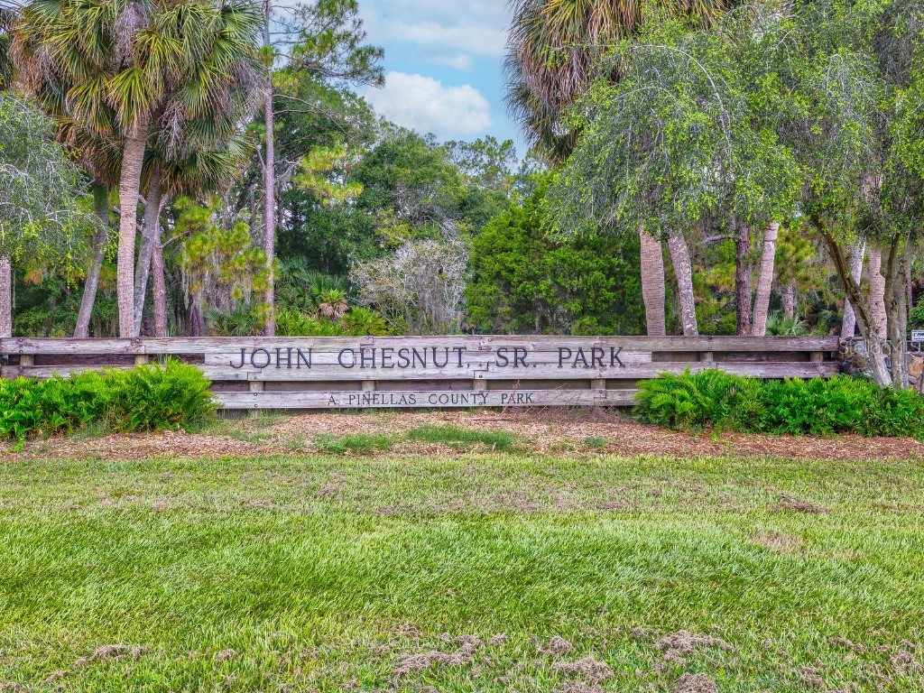 3504 Tealwood Circle Palm Harbor FL 34685 V4945379 image52