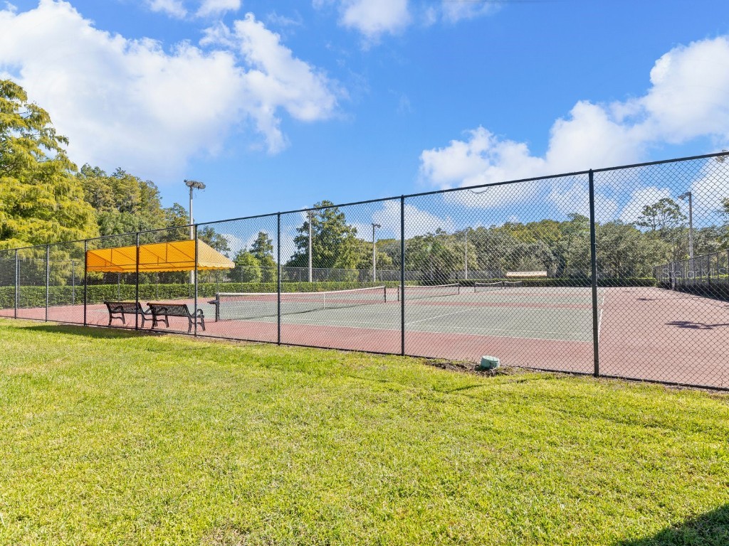 3504 Tealwood Circle Palm Harbor FL 34685 V4945379 image53