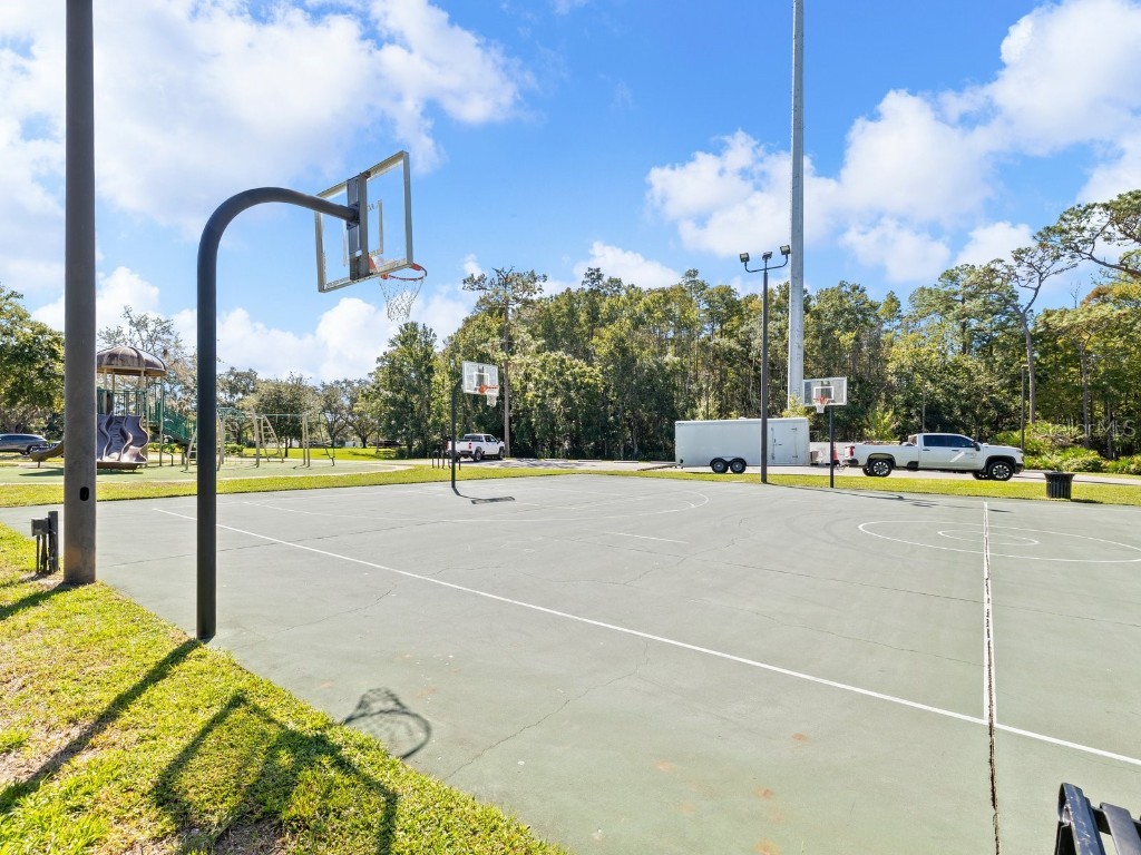 3504 Tealwood Circle Palm Harbor FL 34685 V4945379 image55