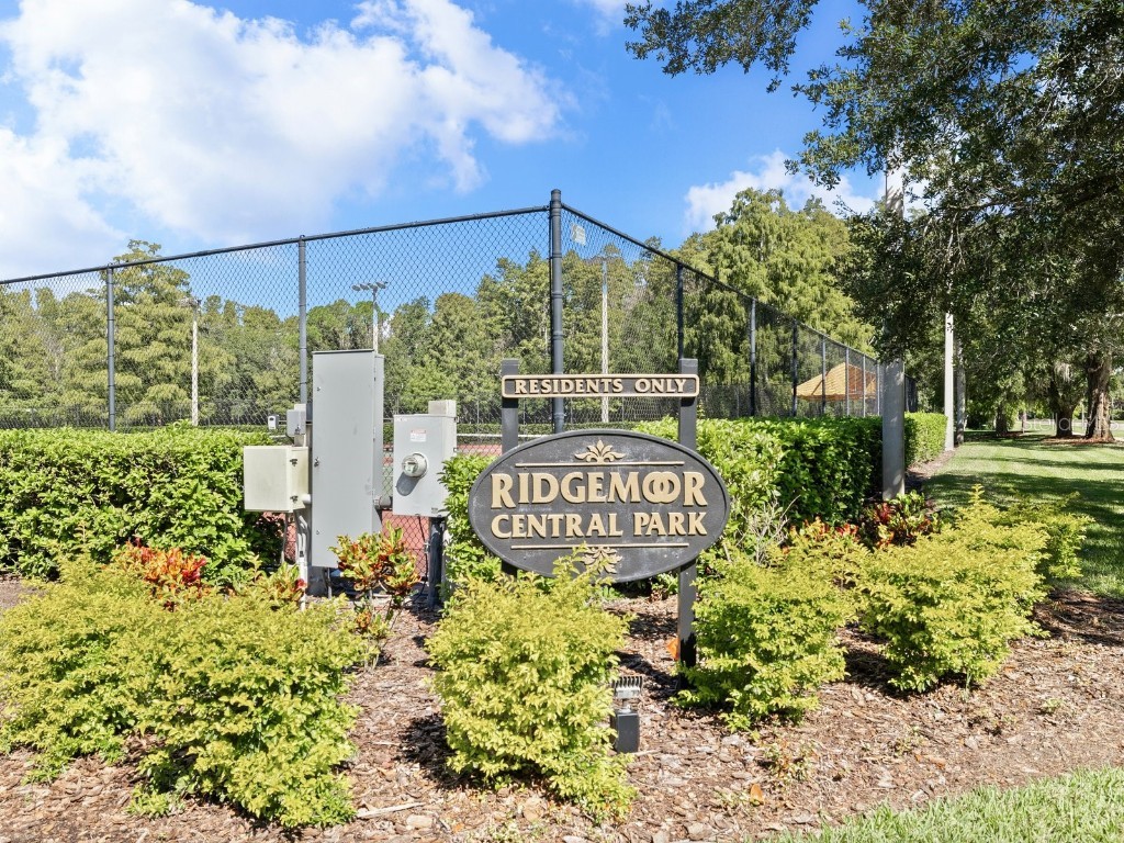 3504 Tealwood Circle Palm Harbor FL 34685 V4945379 image58