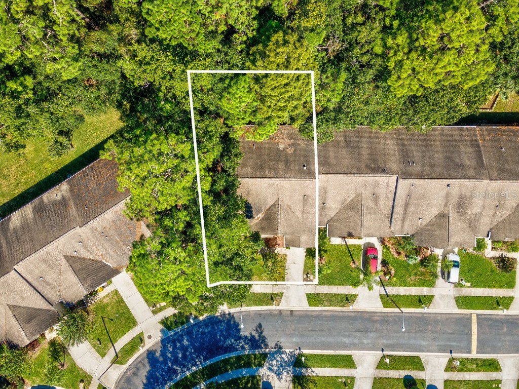 3504 Tealwood Circle Palm Harbor FL 34685 V4945379 image61