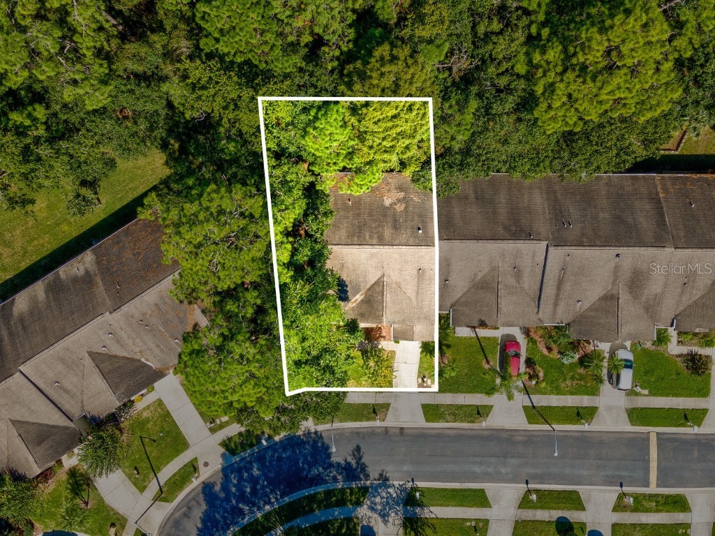 3504 Tealwood Circle Palm Harbor FL 34685 V4945379 image62